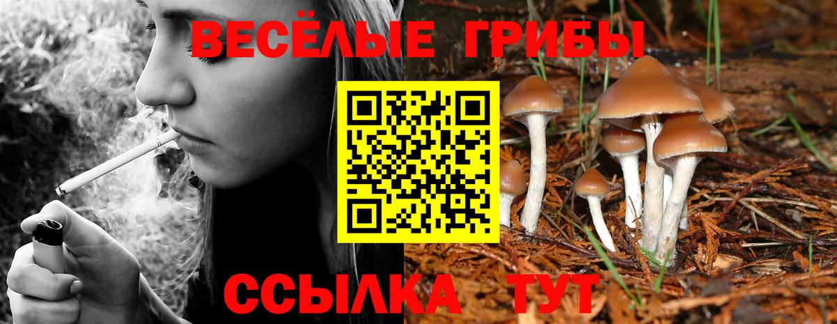 закладки  Вход с VPN  Челябинск  Псилоцибиновые грибы ЛСД 