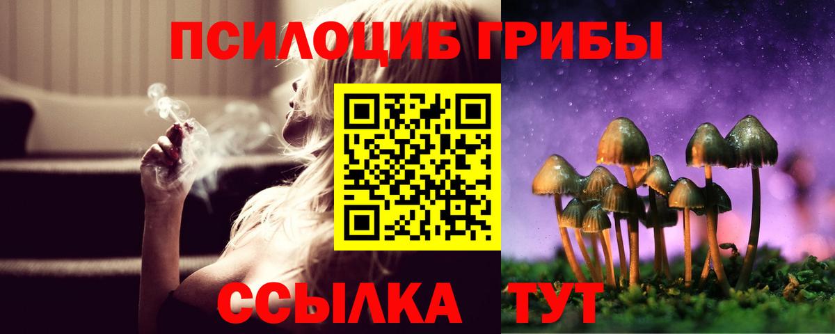 Псилоцибиновые грибы Magic Shrooms Челябинск
